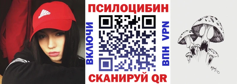 как найти наркотики Ивантеевка Псилоцибиновые грибы Cubensis