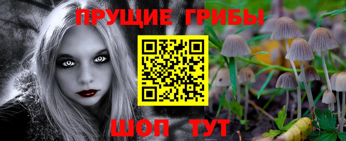 Галлюциногенные грибы прущие грибы Ивантеевка