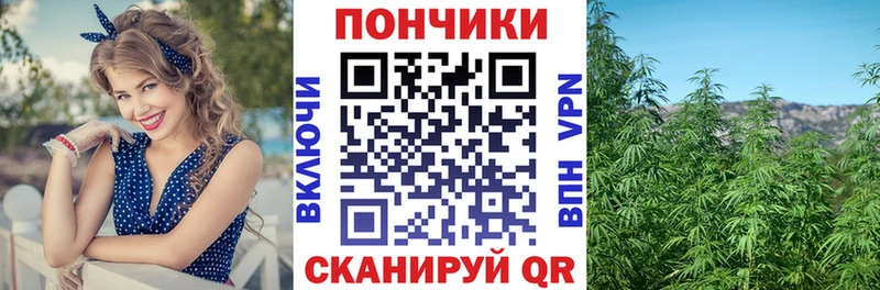Каннабис SATIVA & INDICA  МЕГА как войти  Ивантеевка 
